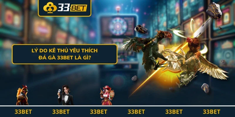 Lý do kê thủ yêu thích đá gà 33BET là gì?